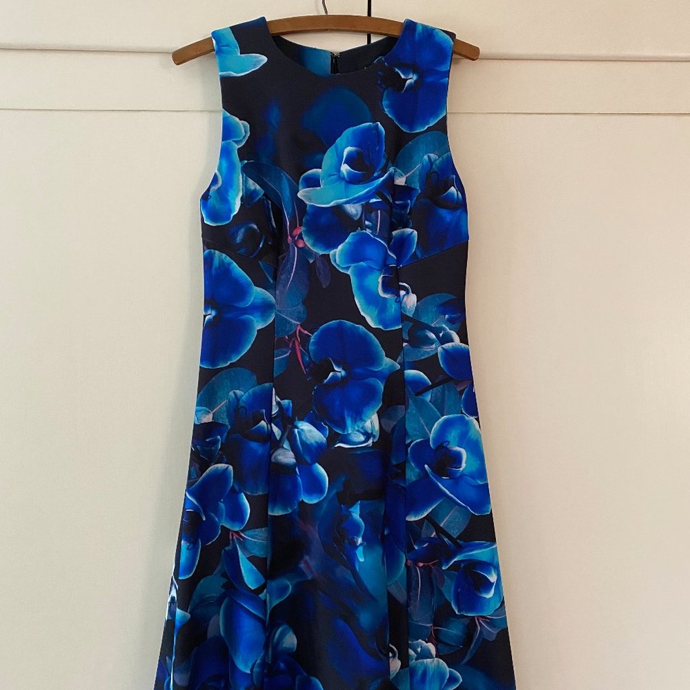Sleeveless Blue Dress with Bold Floral Print